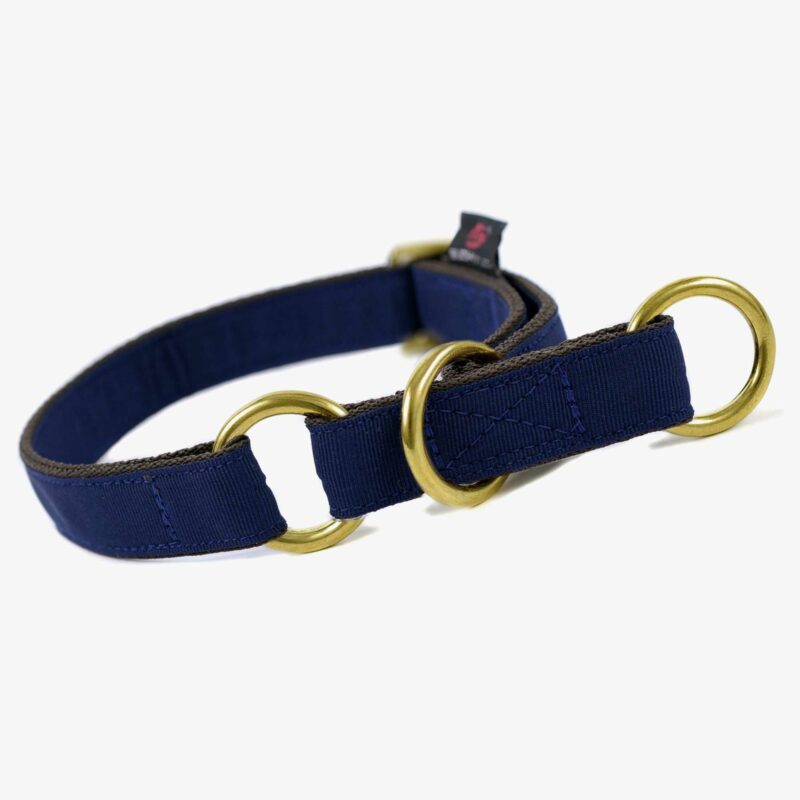 Suchtrupp Schlupfhalsband Golden Dark Blue